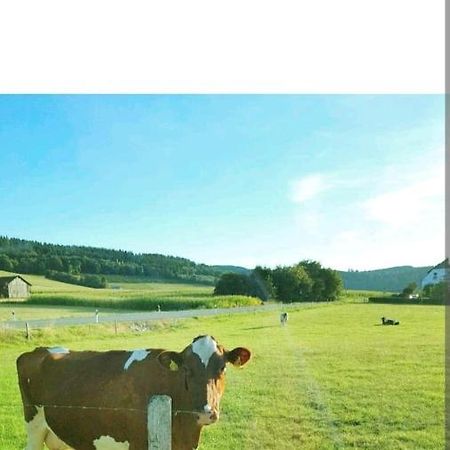 4 Erw. 1 Ki. Ski Entspannung Terasse Ausblick シュマレンベルク エクステリア 写真